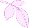 A drawing of a leaf